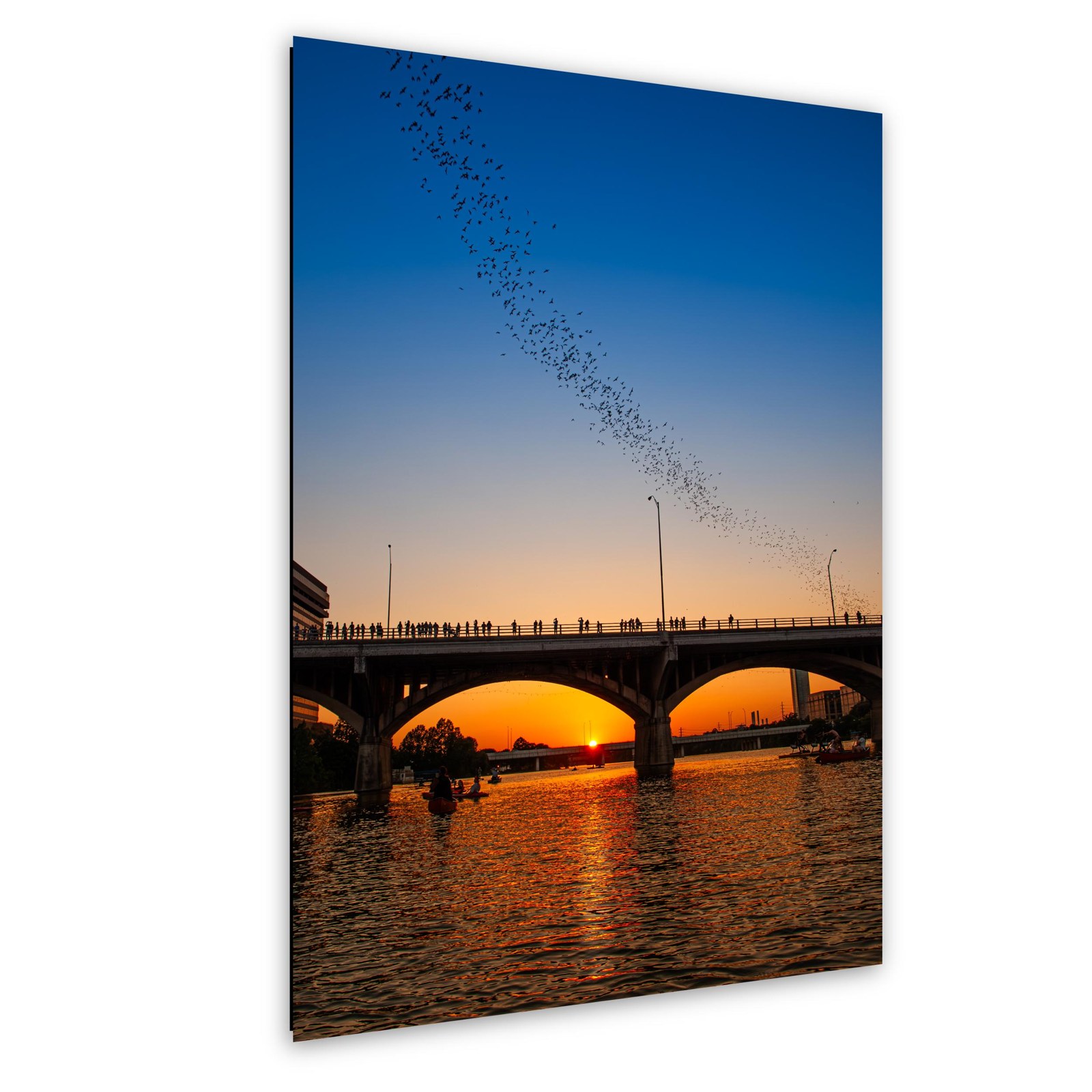 Congress Avenue Bridge Bats — Austin, Texas; print preview